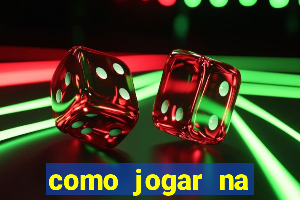 como jogar na seninha online